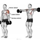 컴포트 짐 이미지