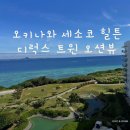 오션투어글로벌 - 동구 서석로7번길 6-2 | [오키나와] 세소코 힐튼 디럭스트윈 오션뷰 후기｜아기 특별요청·조식·주차 정보