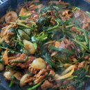 남강오리 이미지