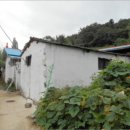 판암동230 이미지