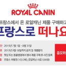 로얄펫동물병원 이미지