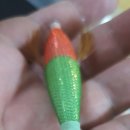 비다쭈꾸미 이미지