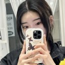 [제이영래쉬] 눈 그림체 바꿔주는 전문적인 미금역 속눈썹 연장👁️