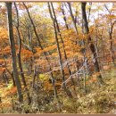 대공산성 등산로 이미지