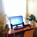 편안 민박 이미지