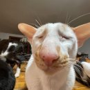 동삼어린이집 | 그럼 그냥 10월 진행할께요...