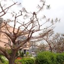 아리역로16번길 이미지