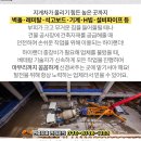 정우골재 이미지
