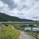 청도천6 Daum카페