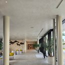 세븐버킷 | 이시가키 여행 숙소 추천, 신상호텔 세븐x세븐 이시가키 호텔 강추(+내돈내산)