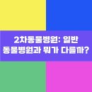 2차동물병원: 일반 동물병원과 뭐가 다를까?