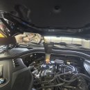 제틀리시(zartlich) 이미지