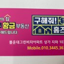 몰운대황금공인중개사사무소 이미지