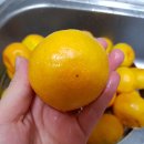 기안농장 이미지