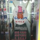 낙지소동