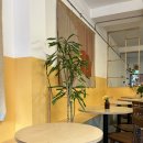 cafe curve(카페커브) 이미지