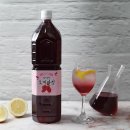 팜팜 이미지
