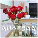 박미경농장 | 꽃정기구독 어니스트플라워로 신혼집을 화사하게