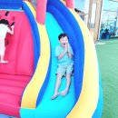 디엔예스 이미지