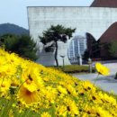 함평군립도서관 이미지