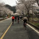 장터골식당 | 평라벙_동부12고개_벚꽃라이딩_180415