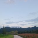 남상면-35 | 거창군 창포원 맨발 걷기 -장해주 기자
