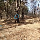 내칠2리 이미지