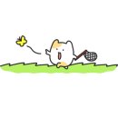 죽성 드림세트장   이미지