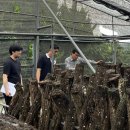 장흥군버섯산업硏, 표고버섯 재배현장 방문의 날 운영 이미지
