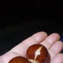 하늘땅별땅 캠핑장 이미지