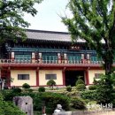 이디야광릉수목원점 이미지