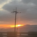 강릉 빵지순례 교동빵집 내돈내산 후기 (+형제칼국수)