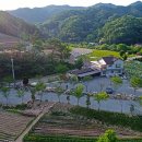 마중펜션캠핑장 이미지