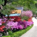 구마황토민박 이미지