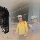 순금농장 이미지