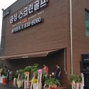 금성스크린골프