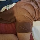오복체형관리 네이버블로그