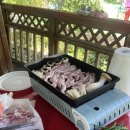 함씨민박 이미지