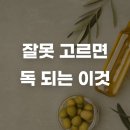 올리브독 이미지