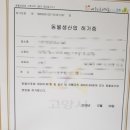 캣파라다이스 일산점 이미지