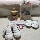 평강교회 옆 | 26년 1월 이야기 (Feat. 오세이사 무대인사, Apink 컴백, 생일, 출생신고서 발급, 동대문 볼꾸)