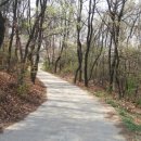 늘품자연유치원 이미지