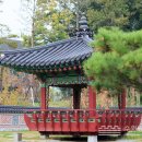 53호 문화공원 이미지