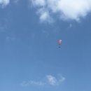 용인패러글라이딩 짜릿했던 송골매패러글라이딩 전용활공장 후기