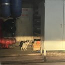 UR(경주시)-[경감로]-하-36 | Week 5 디플로이, 경주