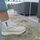 슈올즈미아