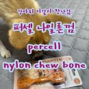 듀펫의정부지하 | [강아지 장난감 추천] 퍼셀 나일론껌 이갈이 장난감 ( percell nylon chew bone )