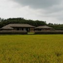본 전 이미지