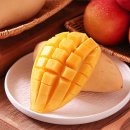 모두의밥상 이미지