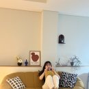 퍼니하우스 이미지